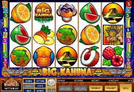 Big Kahuna Slot Screenshot